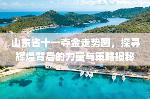 山东省十一夺金走势图，探寻辉煌背后的力量与策略揭秘