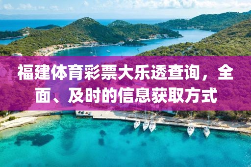 福建体育彩票大乐透查询，全面、及时的信息获取方式