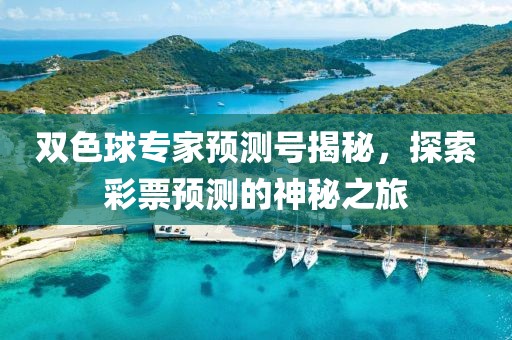 双色球专家预测号揭秘，探索彩票预测的神秘之旅