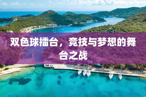 双色球擂台，竞技与梦想的舞台之战