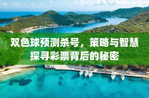 双色球预测杀号，策略与智慧探寻彩票背后的秘密