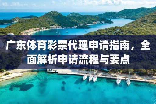 广东体育彩票代理申请指南，全面解析申请流程与要点