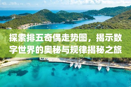 探索排五奇偶走势图，揭示数字世界的奥秘与规律揭秘之旅